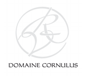 Domaine Cornulus Savièse Wallis